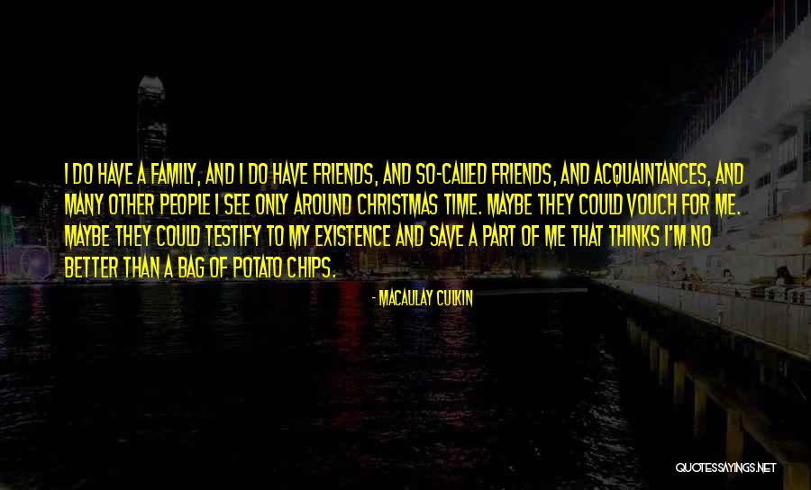 Family Friends Christmas Quotes By Macaulay Culkin