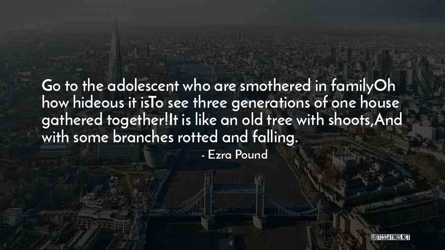Family Generations Quotes By Ezra Pound Family Generations Quotes By Ezra Pound