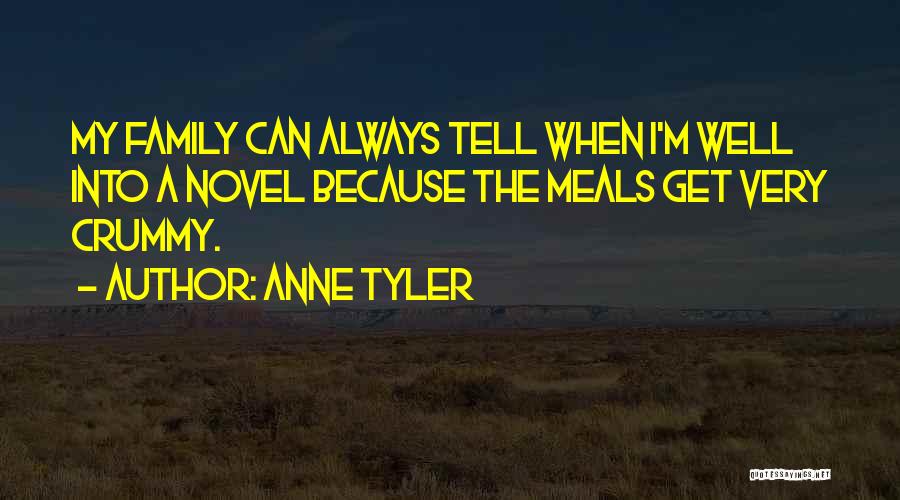 Family Get Well Quotes By Anne Tyler