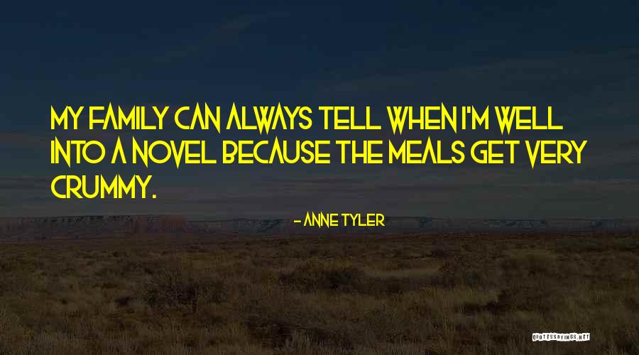 Family Get Well Quotes By Anne Tyler