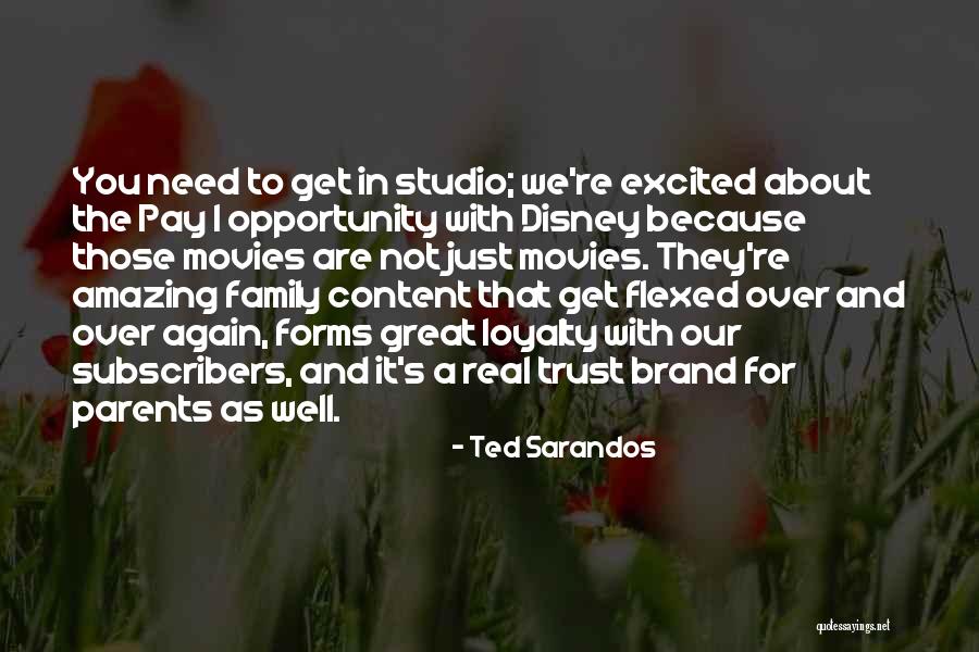 Family Get Well Quotes By Ted Sarandos Family Get Well Quotes By Ted Sarandos