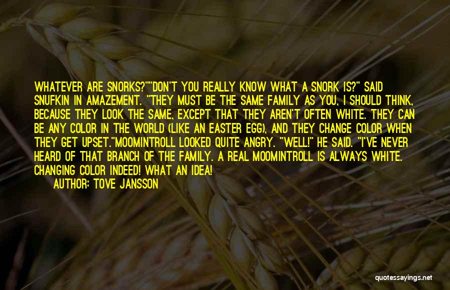 Family Get Well Quotes By Tove Jansson