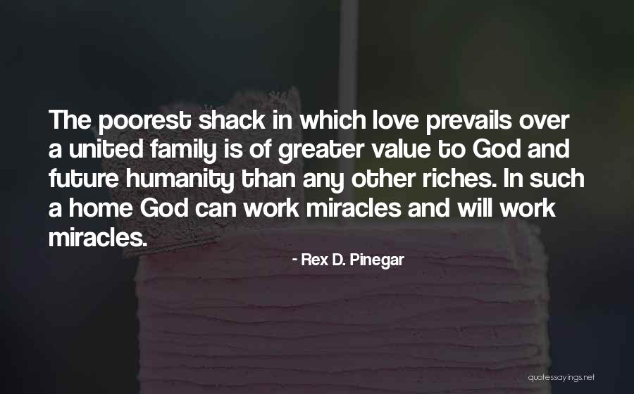 Family God And Love Quotes By Rex D. Pinegar