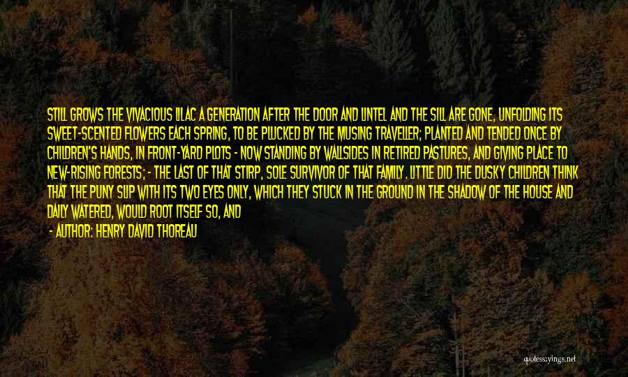 Family Grows Quotes By Henry David Thoreau