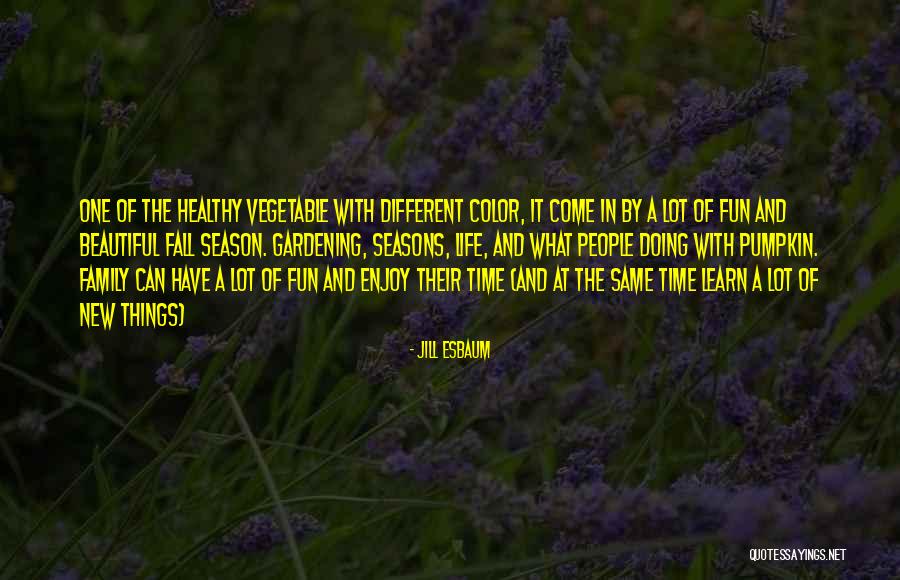 Family Having Fun Quotes By Jill Esbaum Family Having Fun Quotes By Jill Esbaum