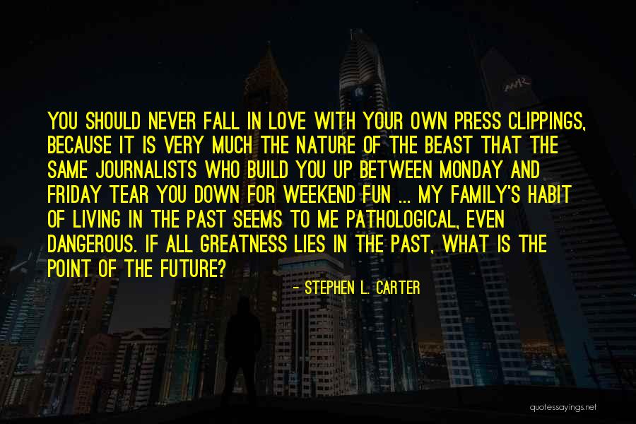 Family Having Fun Quotes By Stephen L. Carter