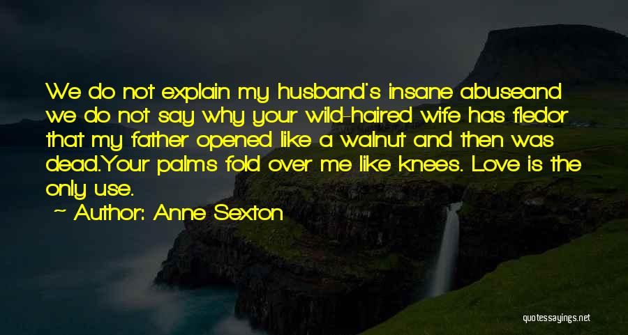 Family Husband And Wife Quotes By Anne Sexton