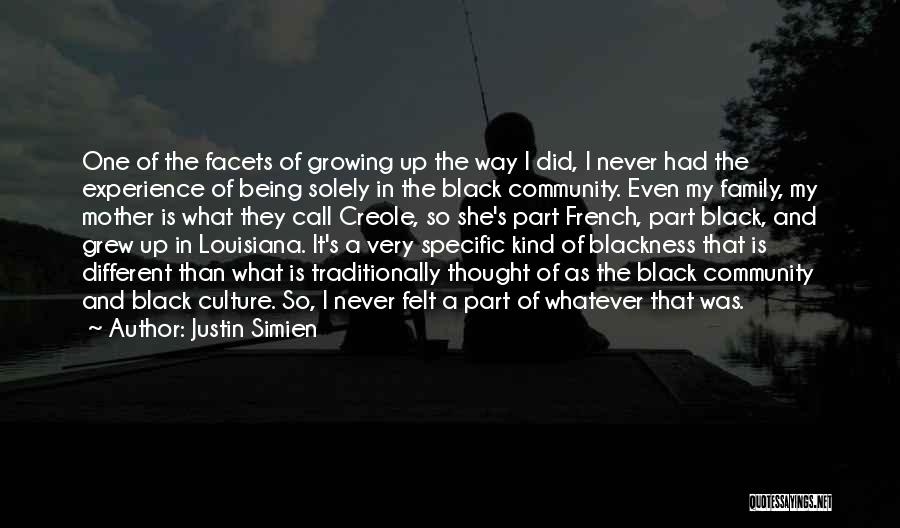 Family In French Quotes By Justin Simien
