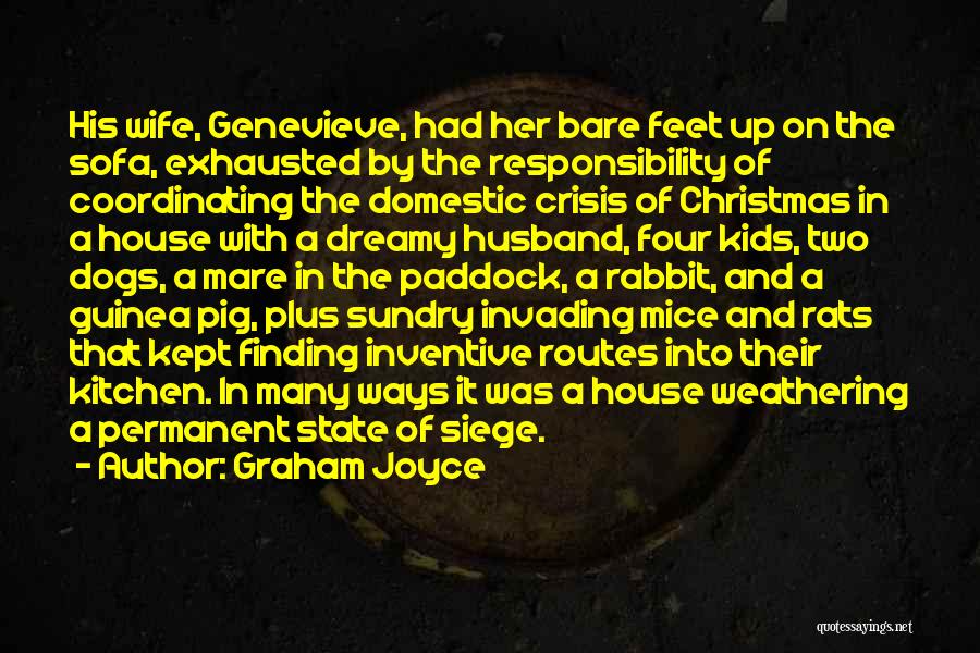 Family In The Kitchen Quotes By Graham Joyce