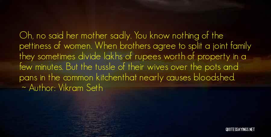 Family In The Kitchen Quotes By Vikram Seth