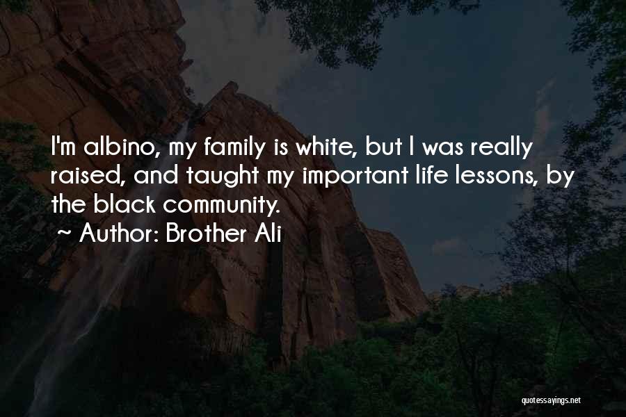 Family Is Important Quotes By Brother Ali