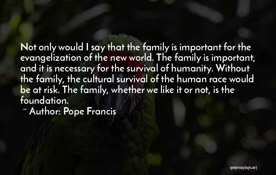 Family Is Important Quotes By Pope Francis