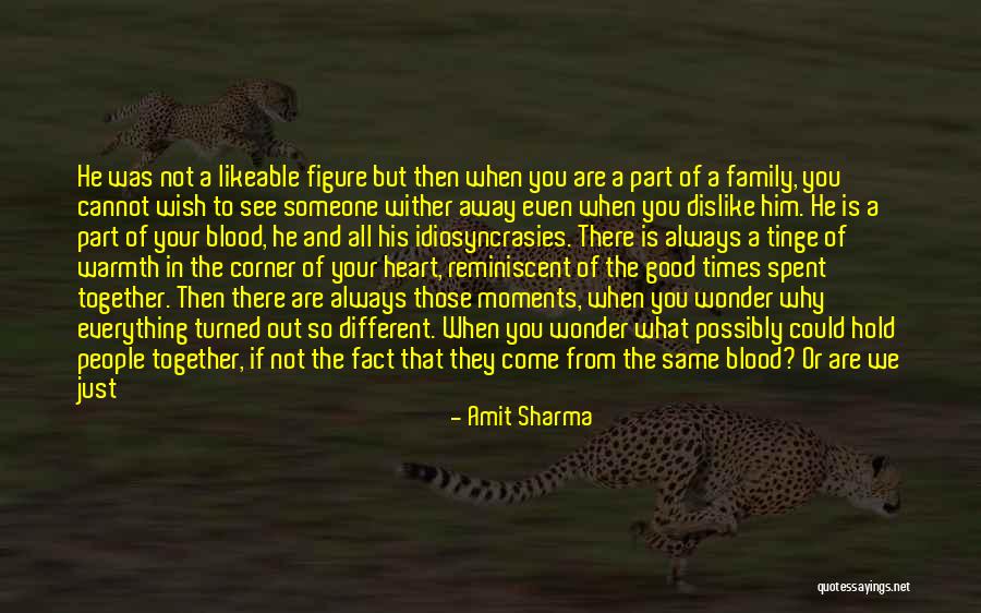 Family Is Just Blood Quotes By Amit Sharma