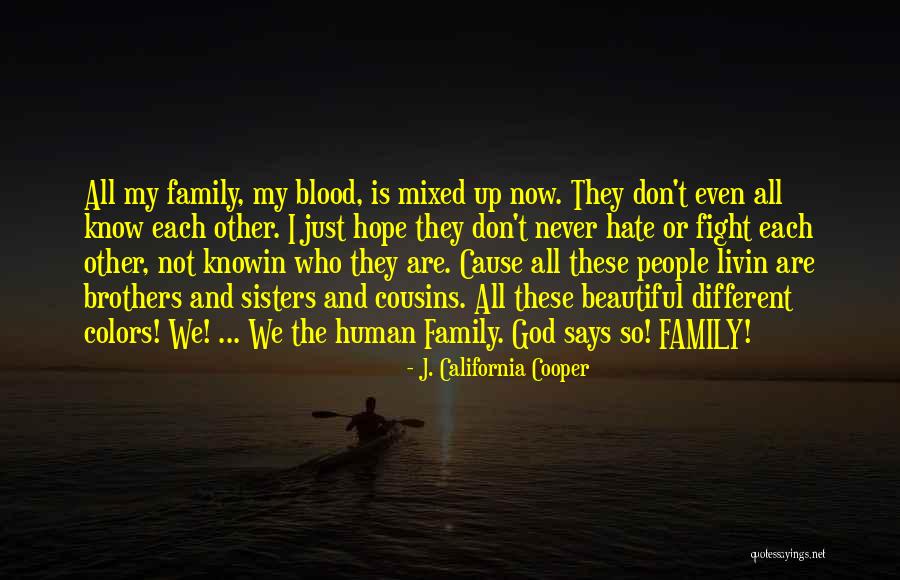 Family Is Just Blood Quotes By J. California Cooper