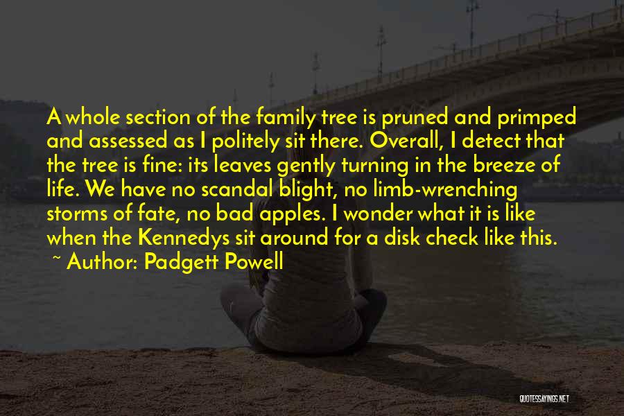 Family Is Like A Tree Quotes By Padgett Powell