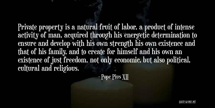 Family Is My Strength Quotes By Pope Pius XII Family Is My Strength Quotes By Pope Pius XII