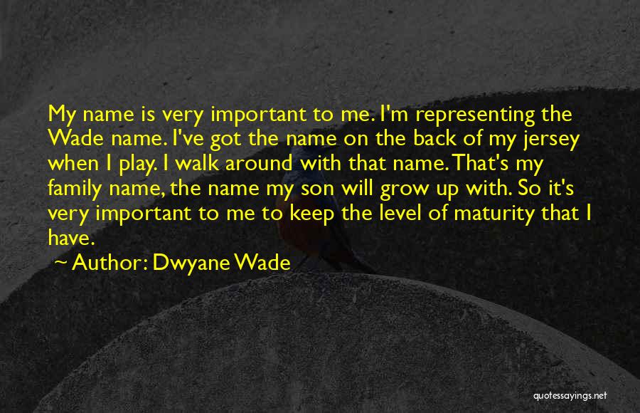 Family Is Very Important Quotes By Dwyane Wade