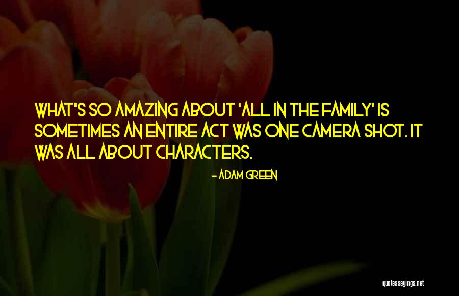 Family Is What It's All About Quotes By Adam Green