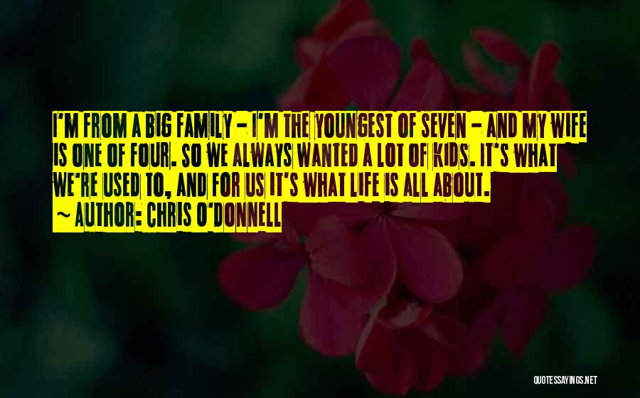 Family Is What It's All About Quotes By Chris O'Donnell