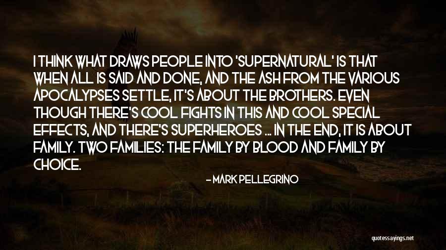 Family Is What It's All About Quotes By Mark Pellegrino