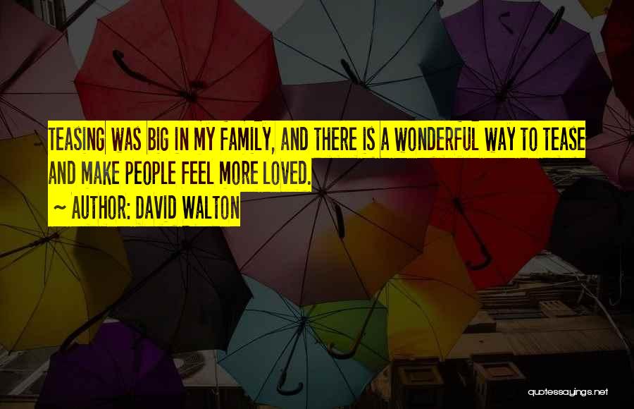 Family Is Wonderful Quotes By David Walton