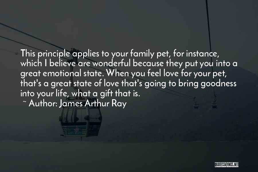 Family Is Wonderful Quotes By James Arthur Ray