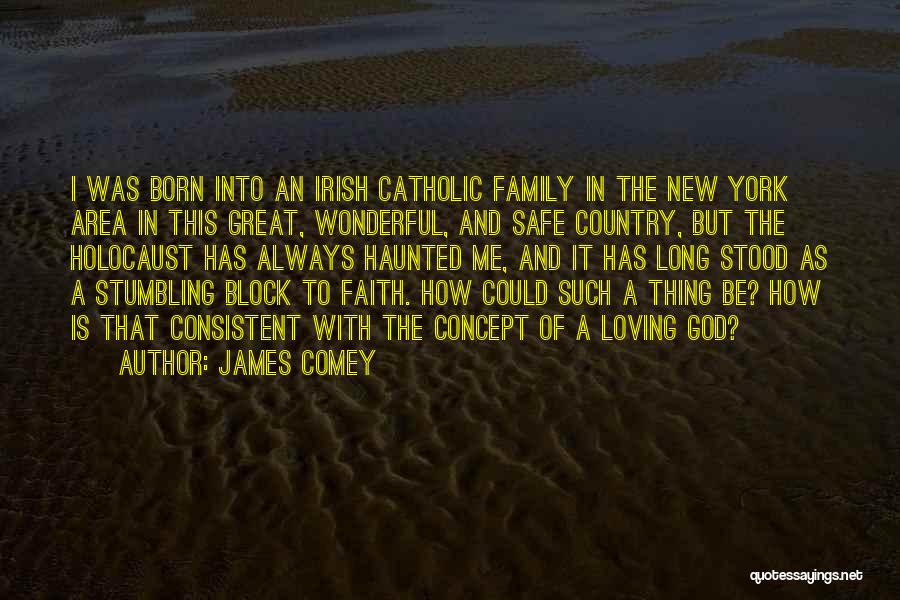 Family Is Wonderful Quotes By James Comey