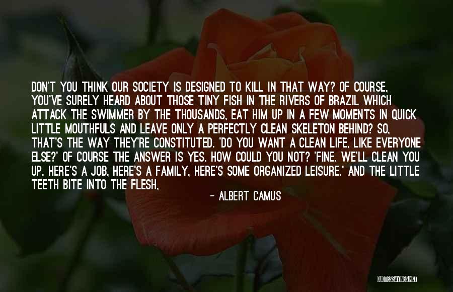 Family Literature Quotes By Albert Camus