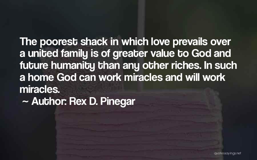 Family Love And God Quotes By Rex D. Pinegar