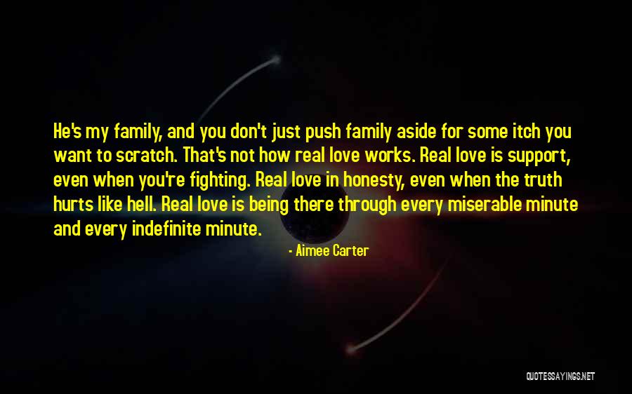 Family Love And Support Quotes By Aimee Carter