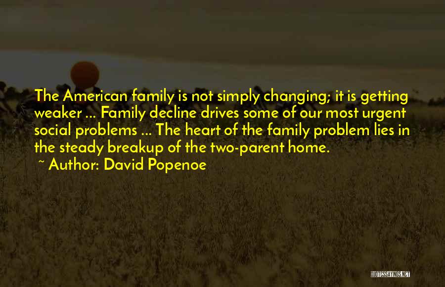 Family Lying To You Quotes By David Popenoe