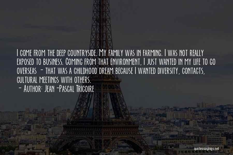 Family Meetings Quotes By Jean-Pascal Tricoire