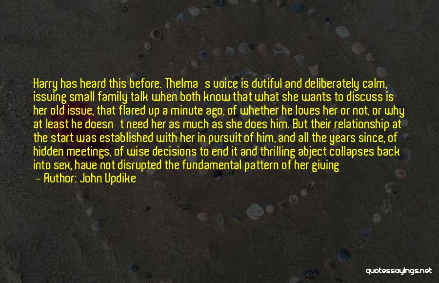 Family Meetings Quotes By John Updike