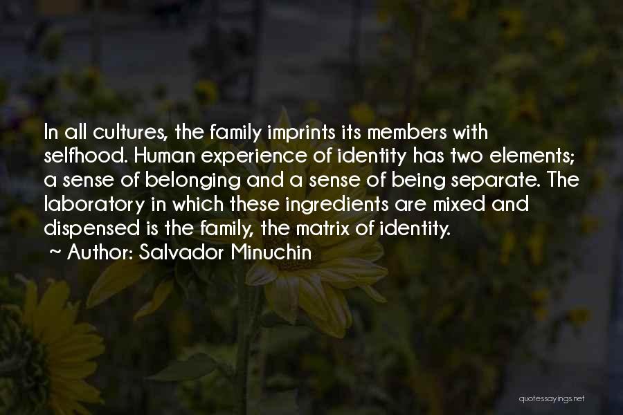 Family Members Not Being There Quotes By Salvador Minuchin