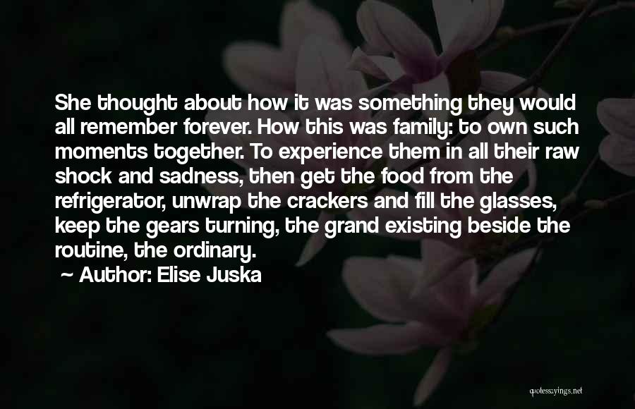Family Moments Quotes By Elise Juska Family Moments Quotes By Elise Juska