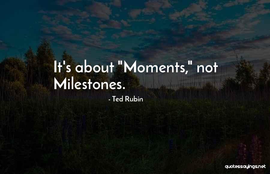 Family Moments Quotes By Ted Rubin