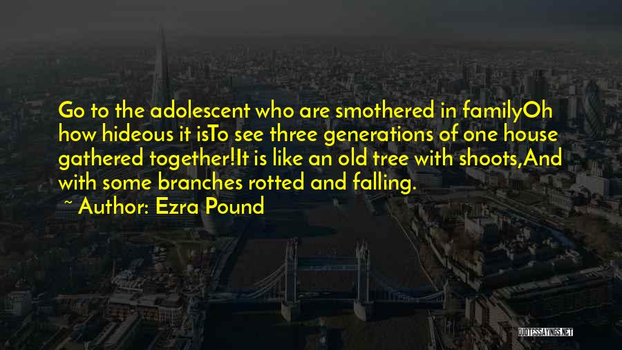 Family Of Three Quotes By Ezra Pound