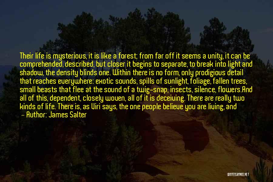 Family Of Two Quotes By James Salter