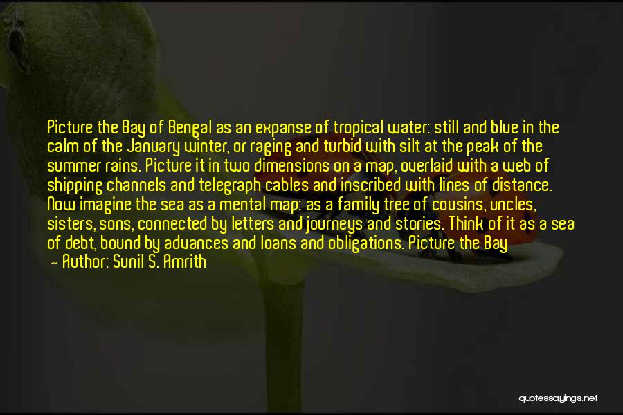 Family Of Two Quotes By Sunil S. Amrith