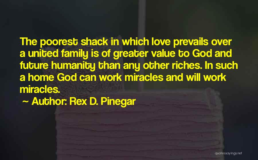 Family Over Love Quotes By Rex D. Pinegar