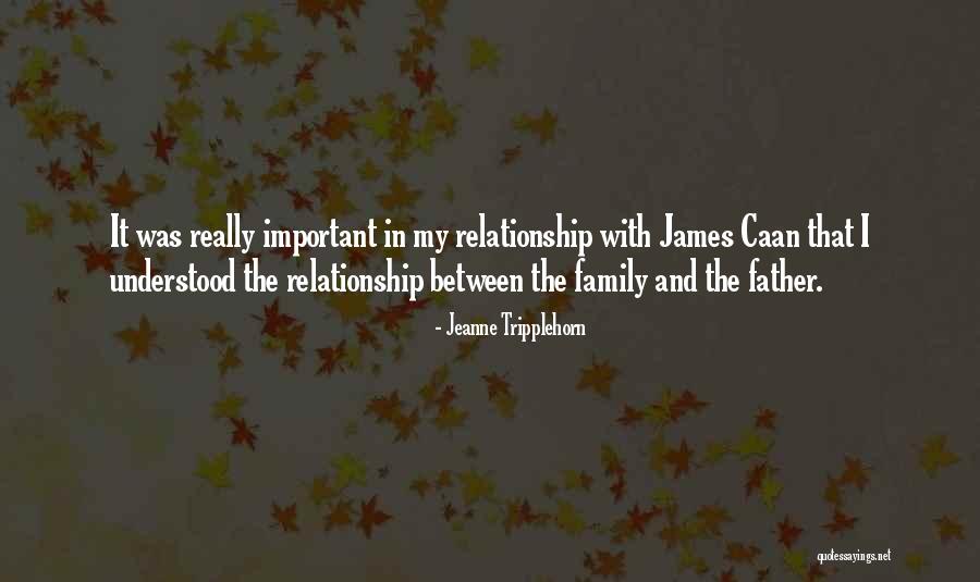 Family Over Relationship Quotes By Jeanne Tripplehorn