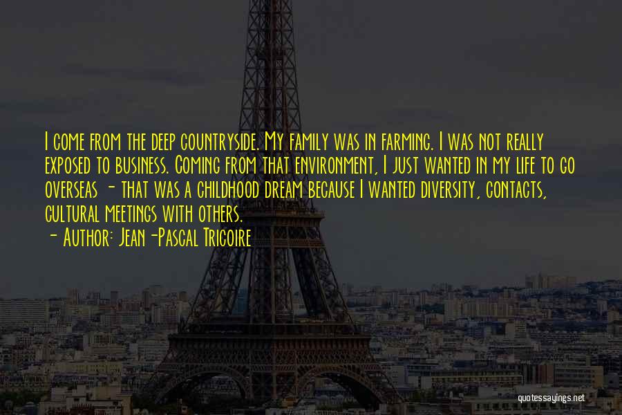 Family Overseas Quotes By Jean-Pascal Tricoire