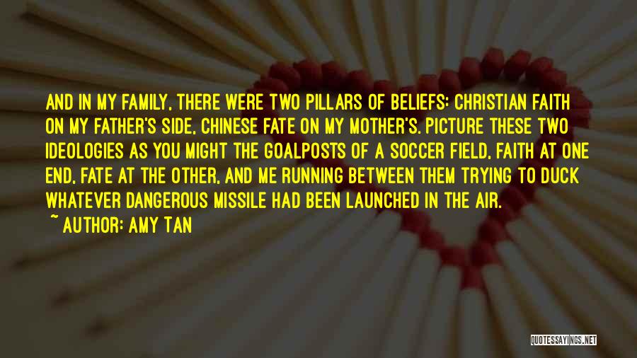 Family Pillars Quotes By Amy Tan