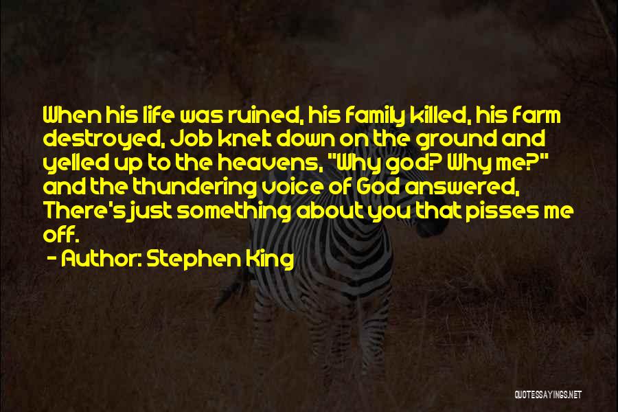 Family Pisses Me Off Quotes By Stephen King