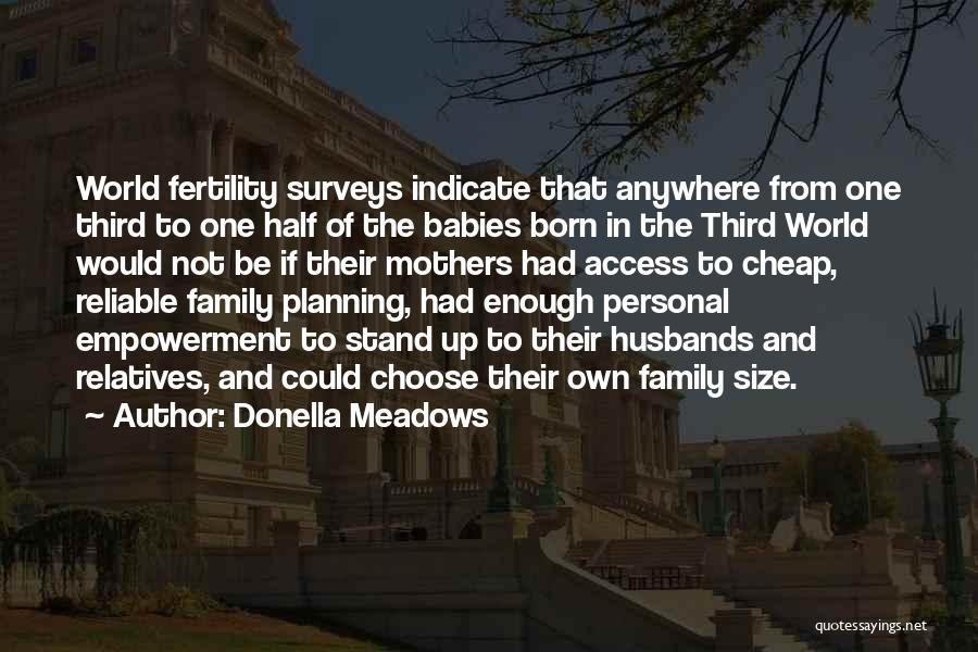 Family Planning Quotes By Donella Meadows