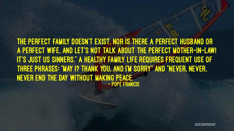 Family Pope Francis Quotes By Pope Francis