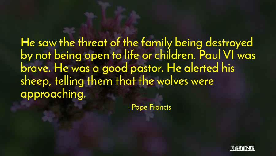 Family Pope Francis Quotes By Pope Francis