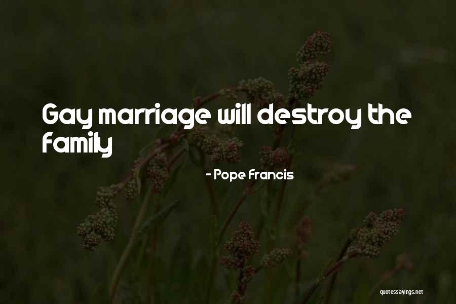 Family Pope Francis Quotes By Pope Francis