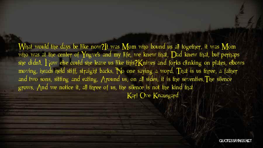 Family Pretenders Quotes By Karl Ove Knausgard Family Pretenders Quotes By Karl Ove Knausgard