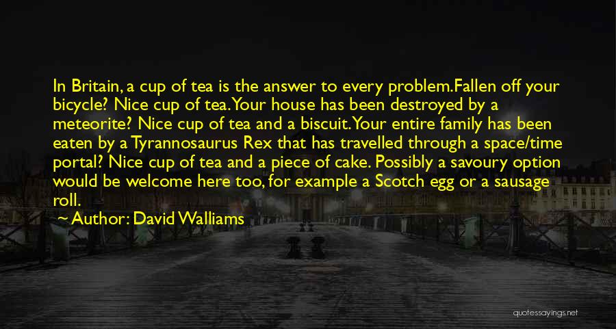 Family Problem Quotes By David Walliams